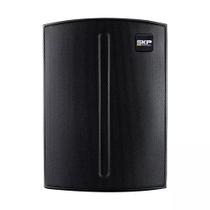 Caixa Portátil SKP Q1 Pro Com Bateria