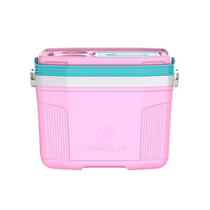 Caixa térmica 20 L Termolar Rosa Balé com Verde Litoral