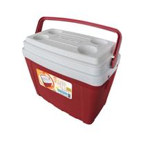 Caixa Térmica Cooler 25 Litros Com Alça Antares Porta Copos Cor Sortida