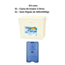 Caixa Térmica de Isopor 3 litros + 1 Gelo Reutilizável GR500 500ml