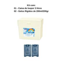 Caixa Térmica de Isopor 3 litros + 2 Gelos Reutilizáveis GR200 200ml