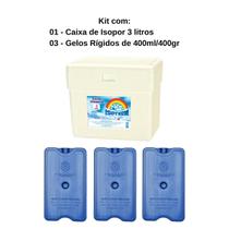Caixa Térmica de Isopor 3 litros + 3 Gelos Reutilizáveis GR400 400ml
