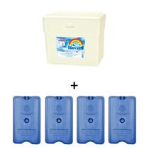 Caixa Térmica de Isopor 3 litros + 4 Gelos Reutilizáveis GR400 400ml