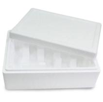 Caixa Térmica Em Eps Para Garrafas De Espumante Gpt3104 - M2