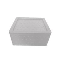 Caixa Térmica EPP de Alto Desempenho/Resistência - 6,1L