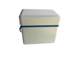 Caixa Térmica Isopor 21 Litros Gelo Cerveja Refrigerante - Isoterm // Isocamp