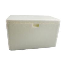 Caixa Térmica Isopor 5 Litros Fort Box Caixa Térmica Isopor 5 Litros Fort Box
