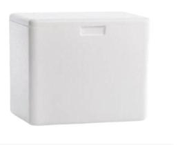 Caixa Térmica Isopor Capacidade 35 Litros Refrig Cerveja