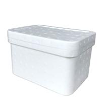 Caixa térmica Isopor Sorvete Doces Medicamentos 20,5x12,5cm