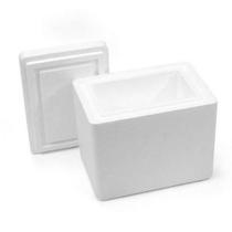 Caixa Térmica Parede Dupla Feita Em Eps Isopor 04 L