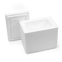 Caixa térmica parede dupla feita em eps isopor 04 litros - só caixa Caixa térmica parede dupla feita em eps isopor 04 litros - só caixa