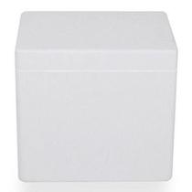 Caixa Térmica Parede Tripla Feita Em Eps Isopor 20 L