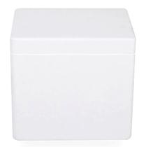 Caixa Térmica Parede Tripla Feita Em EPS ISOPOR 20 Litros l Só Caixa