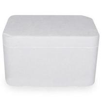 Caixa Térmica Parede Tripla Feita Em Eps Isopor 80 L