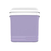 Caixa Termica Tropical Lilas 22L Transporta 4 Garrafas 2 Litros Soprano