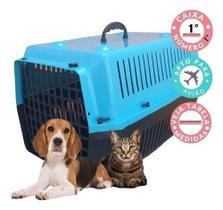 Caixa transporte 1 caixinha de cachorro gatos cães e pets apta para viagens passeios plastico resistente