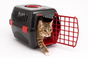 Caixa Transporte Pet Aço 48X33X29Cm Até 10Kg Resistente