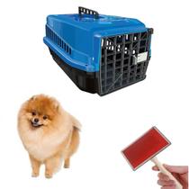 Caixa Transporte Pet N1 Azul E Escova Profissional Pelos Pet