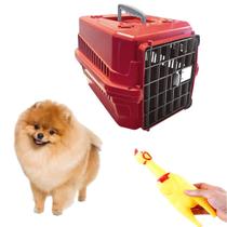 Caixa Transporte Pet N1 Médio + Mordedor Interativo Galinha