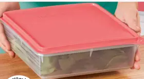 Caixa Versátil 2,5 lts Coral