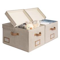 Caixas de armazenamento StorageWorks Large 42L com placa divisória, pacote com 2