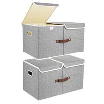 Caixas de Armazenamento TYEERS Extra Grandes com Tampas e Compartimentos - Kit com 2 Unidades