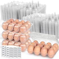 Caixas de ovos HAKSEN, 60 unidades, 3x4, plástico transparente, 12 unidades, reutilizáveis