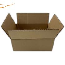 Caixas de Papelão 16x11x8 para Envios de E-commerce Kit com 100 Unidades Caixas de Papelão 16x11x8 para Envios de E-commerce Kit com 100 Unidades