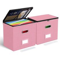 Caixas organizadoras de arquivos Oterri Small 31x21x30 cm, pacote com 2 caixas, rosa
