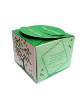 Caixinha Semeie Vida