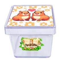 Caixinhas Capivara 10 unidades