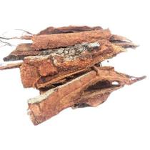 Cajueiro Casca - 100Gr Cajueiro Casca - 100Gr