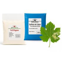 Cal Virgem 1 Kg Culinária Agricultura Calda Bordalesa