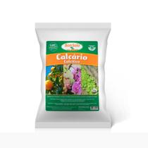 Calcário Calcítico Bonsolo (1kg)