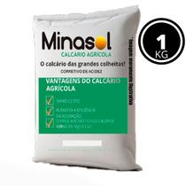 Calcário Dolomítico - Pacote com 1 KG