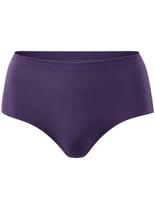Calcinha Clássica Demillus 057115 Bali Sem Costura Algodão T. P/XG