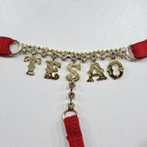 Calcinha Fio Dental Sexy com a Palavra Tsão Escrita em Strass Lingerie Feminina Ousada e Brilhante