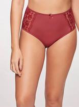 Calcinha Maxi Triumph 24788 Brigitte Microfibra T. M/SG