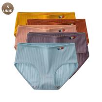 Calcinhas De Algodão Sem Costura Para Mulheres, 5 Peças, Roupas Íntimas Respiráveis Em Cores Calcinhas De Algodão Sem Costura Para Mulheres, 5 Peças, Roupas Íntimas Respiráveis Em Cores
