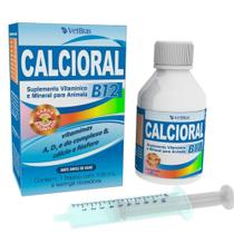 Cálcio oral b12 100ml vetbrás - Vetbras