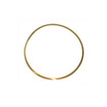 Calco camisa - 0.20 mm sc.pgr/ntg nac. **scania sc ntg - g /