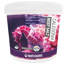 Caledonia reef salt 6,5kg balde - reeflowers