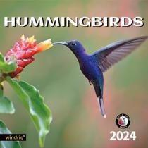 Calendário de parede windrio 2024 Hummingbirds de novembro a dezembro