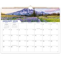 Calendário MaaiBok 2026-2027, parede, 18 vezes, papel mensal de 15x29cm de espessura