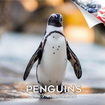 Calendário MegaCalendars 2024 2025 Penguin Monthly Wall Calendário MegaCalendars 2024 2025 Penguin Monthly Wall