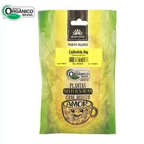 Calêndula Orgânica Flor In Natura Certificada 30g Kampo