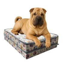 Cama Box Conjugada Pet Para Cachorros E Gatos 45x58x27cm Branco