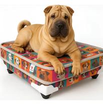Cama Box Pet Conjugada Para Cachorros E Gatos 45x58x27 Cm Cama Box Pet Conjugada Para Cachorros E Gatos 45x58x27 Cm