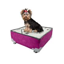 Cama Box Pet Rosa Pink Cães e Gatos 50x50x20 Cama Box Pet Rosa Pink Cães e Gatos 50x50x20