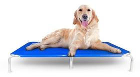 Cama caminha Cachorros Pet Tamanho Gg Suspensa Alumínio Golden